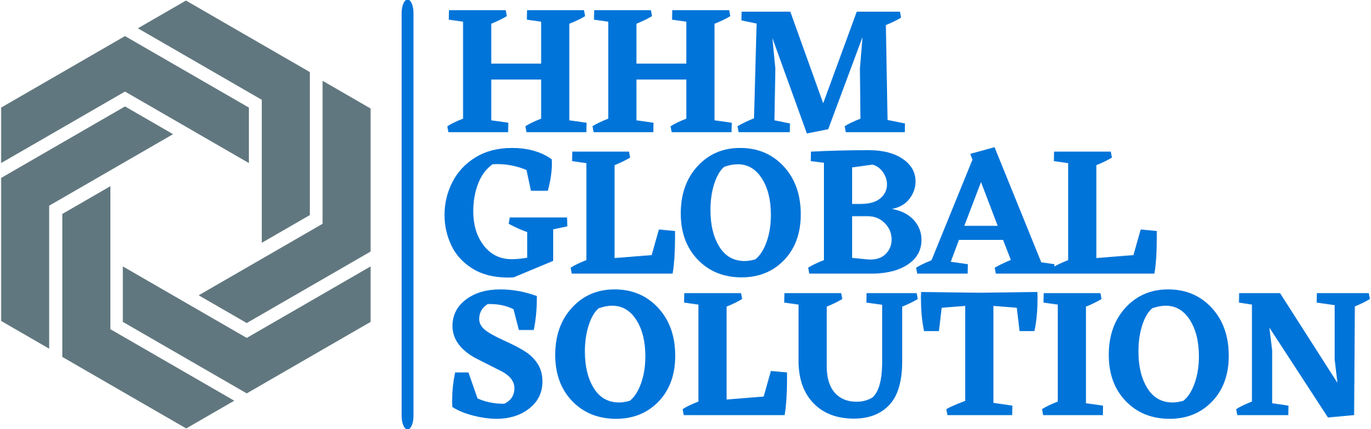 HHM Global solution